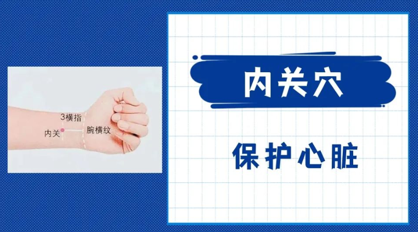 5284d2564220f6316b502bd64b31a8b