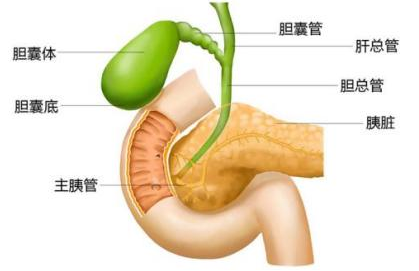 d1d1bc6a157e4fdd32184589639817bf