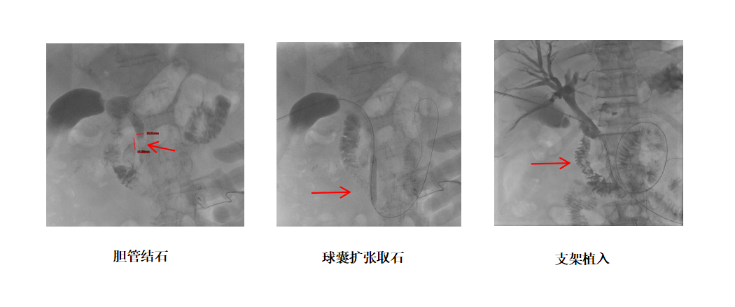 079da5d2c3e48e6521a3920193d476dd