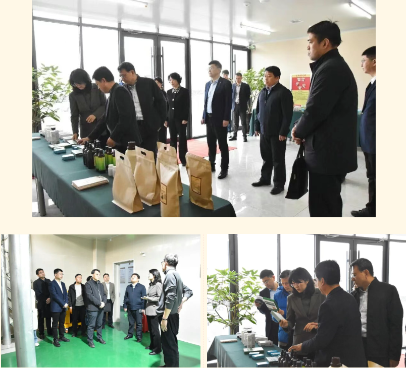 8a9494d9cccd4ed39e0f3d78c85789d4